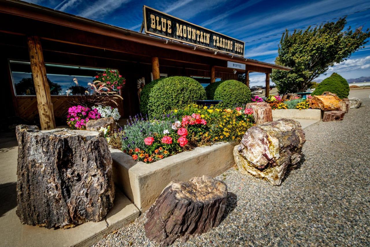Blue Mountain Rv Park Blanding